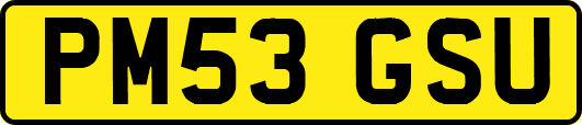 PM53GSU