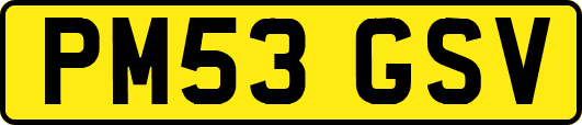 PM53GSV