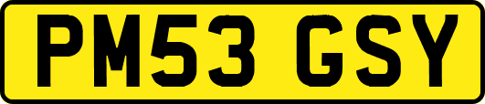 PM53GSY