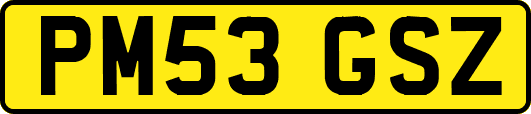 PM53GSZ
