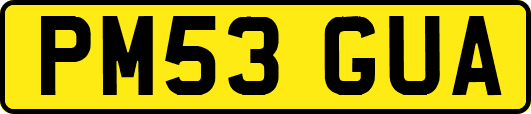 PM53GUA
