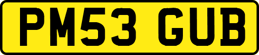 PM53GUB