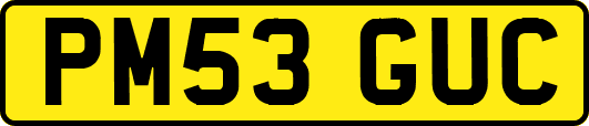 PM53GUC