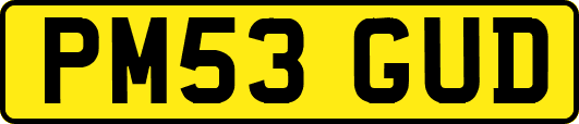 PM53GUD