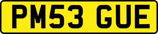 PM53GUE