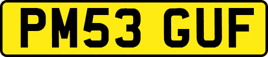 PM53GUF