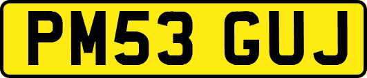 PM53GUJ