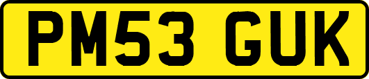 PM53GUK