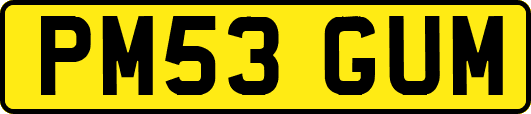 PM53GUM