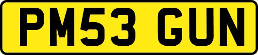 PM53GUN