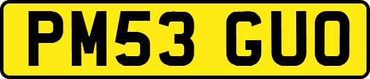 PM53GUO