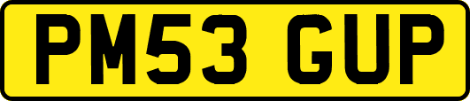 PM53GUP