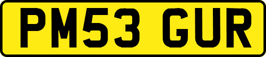 PM53GUR