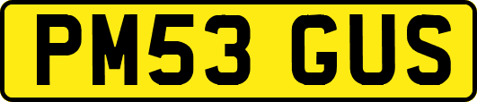 PM53GUS