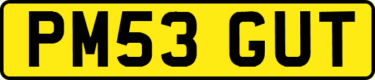 PM53GUT