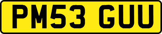 PM53GUU