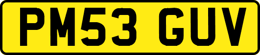 PM53GUV