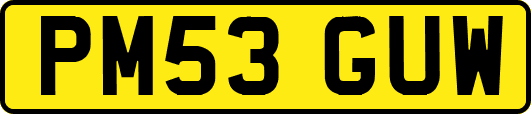 PM53GUW