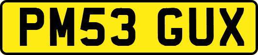 PM53GUX