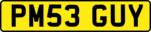 PM53GUY