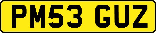 PM53GUZ