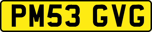 PM53GVG
