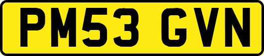 PM53GVN