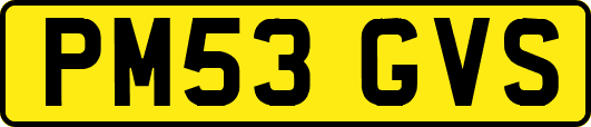 PM53GVS