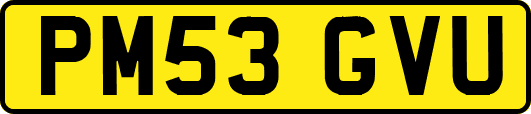 PM53GVU