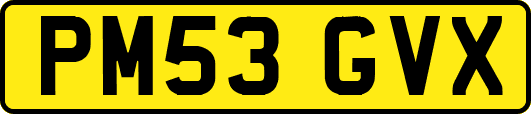 PM53GVX