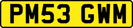 PM53GWM