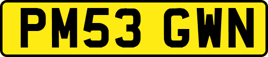 PM53GWN