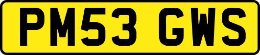 PM53GWS