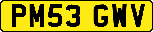 PM53GWV