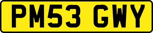 PM53GWY