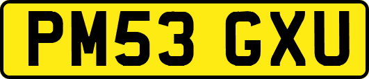 PM53GXU
