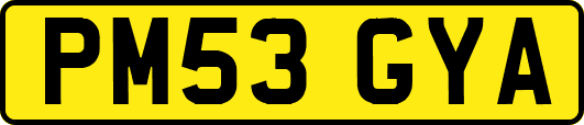 PM53GYA