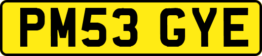 PM53GYE