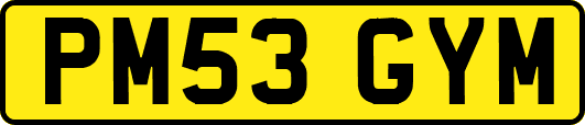 PM53GYM