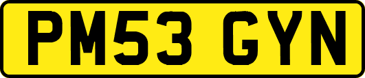 PM53GYN