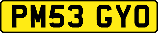 PM53GYO