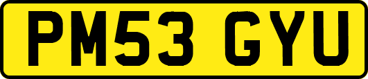 PM53GYU