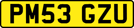 PM53GZU