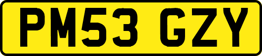 PM53GZY