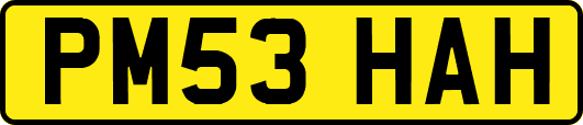 PM53HAH