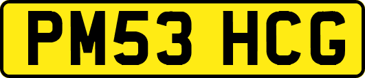 PM53HCG