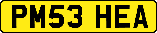 PM53HEA