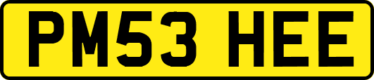 PM53HEE