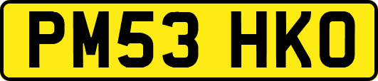 PM53HKO