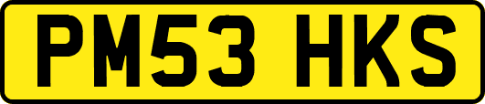 PM53HKS